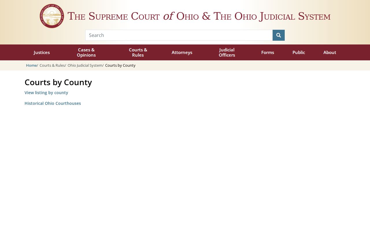 Wood County court docket Ohio trial courts directory
